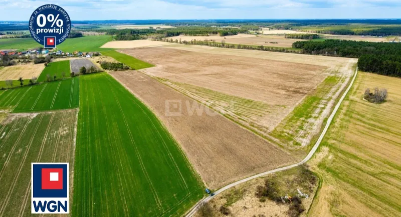 Grunt budowlany jednorodzinny na  sprzedaż Rudgerzowice - Działki budowlane z WZ Rudgerzowice,gmina Świebodzin,woj.lubuskie